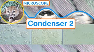 Abbe Condenser 2 - Updates And The Uber Pol High Na Polariser