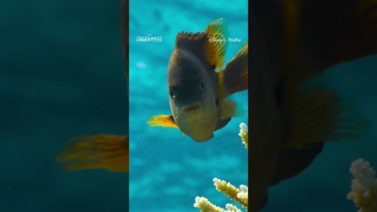 We're not gonna say anything about this. We don't wanna ruin the surprise. 🫢 