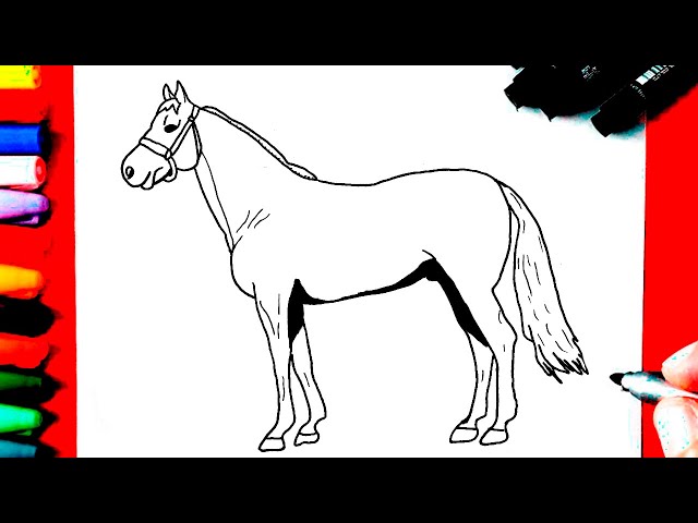 Passo a Passo Desenhar um Cavalo  Desenhos de penteados, Referência de  desenho, Desenhos