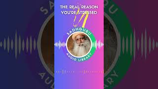 The Real Reason You&#39;re Stressed - Sadhguru