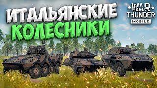 ИТАЛЬЯНСКИЕ КОЛЕСНИКИ! ОБЗОР ИТАЛЬЯНСКОГО ВЗВОДА VCC-80/60 В WAR THUNDER MOBILE!