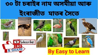 30 birds names in Assamese and English learning with pictures and sounds\/৩০ টা চৰাইৰ নাম অসমীয়াত