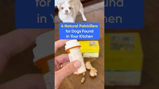 4 Natural Painkillers for Dogs You Already Have Them at Home