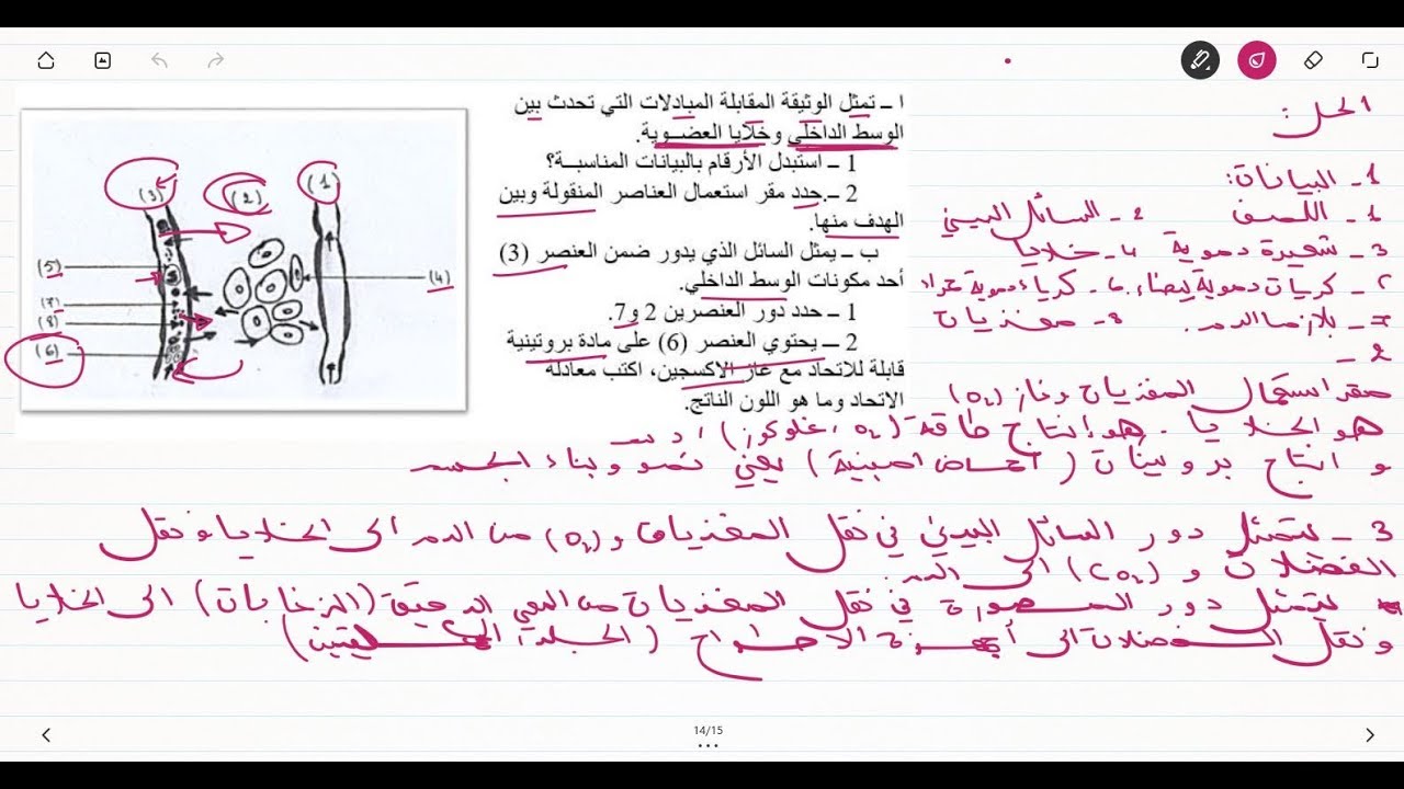 علوم طبيعية السنة الرابعة متوسط تمرين على الوسط الداخلي