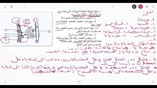 علوم طبيعية السنة الرابعة متوسط تمرين على الوسط الداخلي