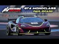 Гонка в GT4 на SimCentral! Трасса Поль Рикар на МсLaren GT4.