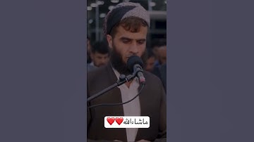 (سورة الواقعة) تلاوة عذبة بصوت رزكار محمد الكردي🌷