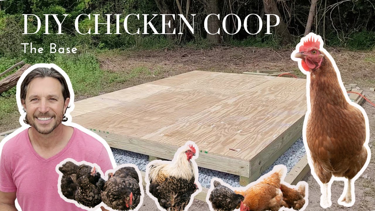 DIY chicken coop build part IV, a strong base! - YouTube