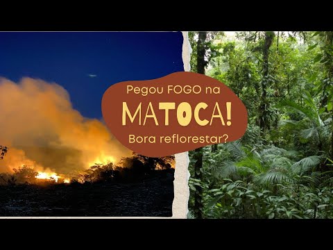 Pegou fogo na Matoca! Bora Reflorestar?