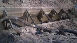 The fishway is back! (2012)