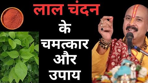 लाल चंदन के चमत्कार सुनिए पंडित प्रदीप मिश्रा जी से!!! शिव महापुराण कथा!! #sawan #laal #chandan 