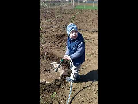 Маленький садовод - YouTube