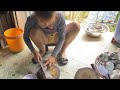 Được Hôm Ông Anh Đem Cho Ít Ốc Đắng Về Hằng Sơ Chế Món Này Ăn Củng Tạm#hằngmiềntâytv