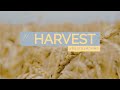 Harvest  ds