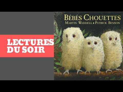 Lecture Du Soir Bebes Chouettes Un Album Qui Aborde L Anxiete De La Separation Avec Maman Youtube