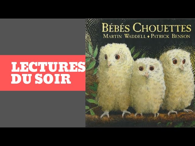Lecture Du Soir Bebes Chouettes Un Album Qui Aborde L Anxiete De La Separation Avec Maman Youtube Lecture Du Soir Bebes Chouettes Un Album Qui Aborde L Anxiete De La Separation Avec Maman Youtube
