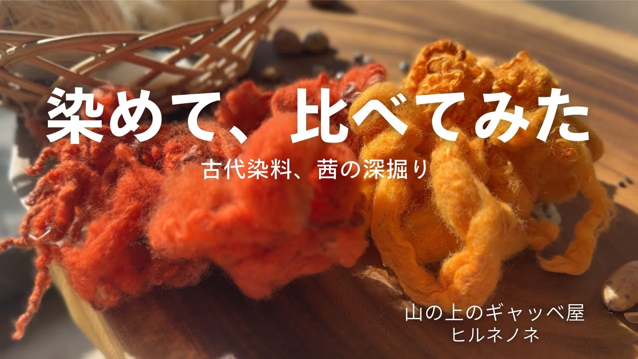 ギャッベ屋が庭の日本茜と西洋茜で羊毛を染める｜同じ赤、その違いを