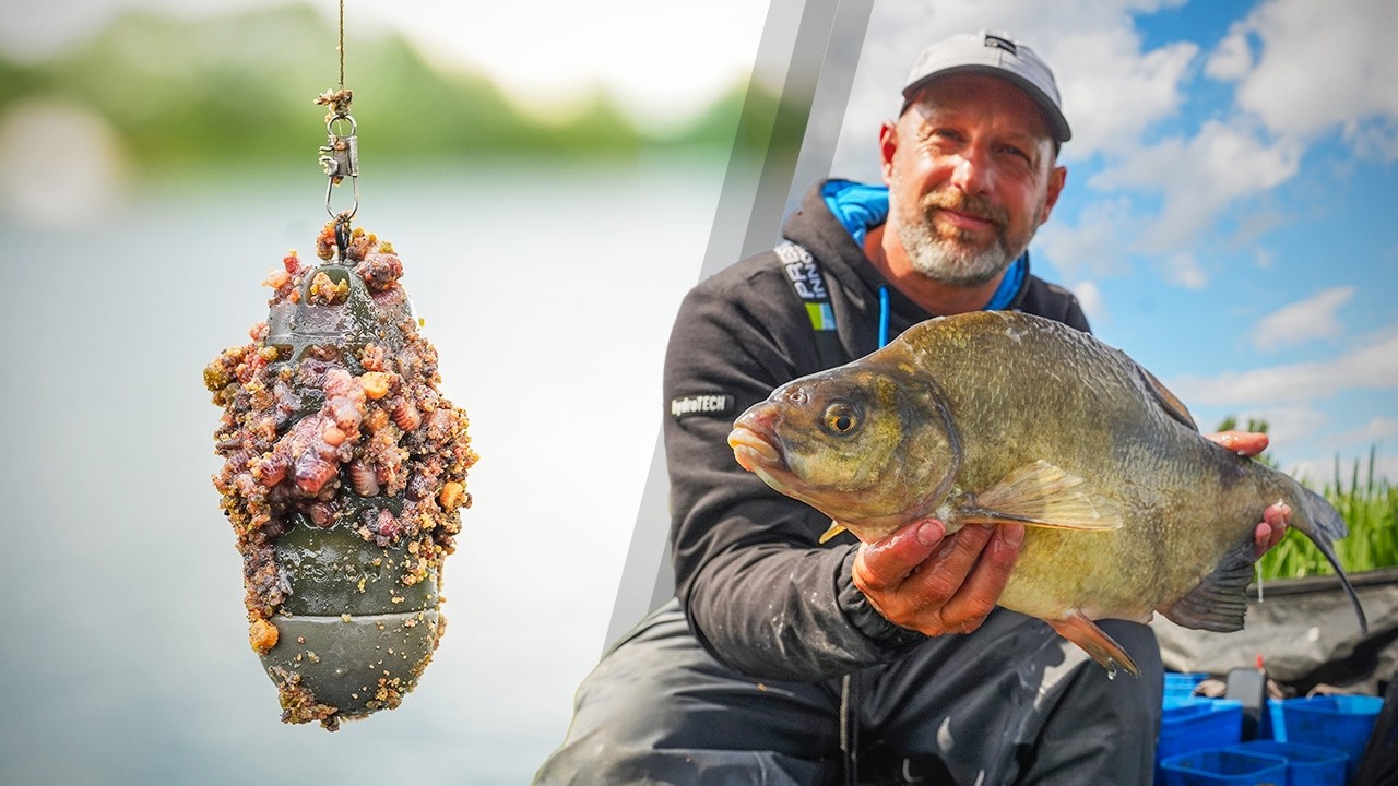 England World Champion Fishing For Huge Bream