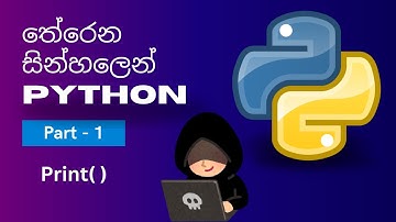 Python 🐍 Lesson Part 1 - සින්හලෙන් | How to Use the Print Function in Python (Sinhala)