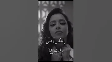 راح بلقيس 