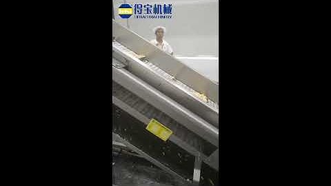 Automatic peanut frying machine industrial groundnut continuous fryer production line