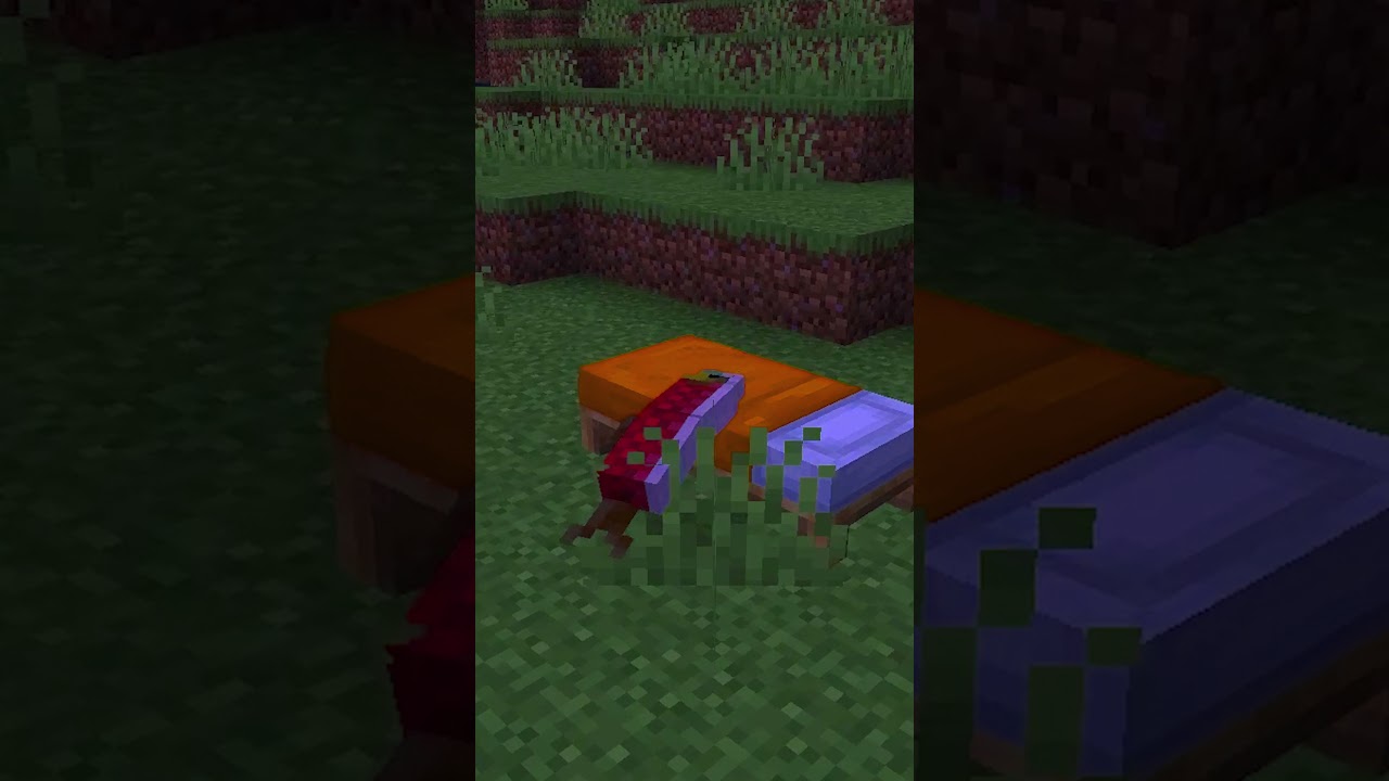 COME DORMONO I MOB DI MINECRAFT? #Shorts