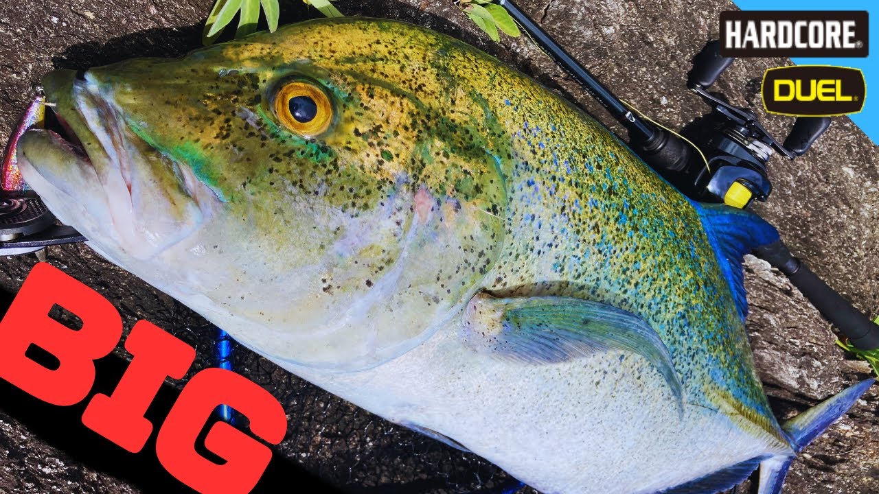 今までで一番大きいカスミアジが釣れた！ × 沖縄釣り × 北部 