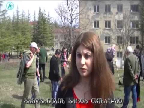 გამწვანების აქცია თესაუში