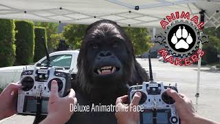 Animatronic Gorilla Face by Animal Makers