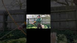 John shooting his new 45lb Pacific Yew English Longbow! #fenwickbows #englishlongbow #bowmaking