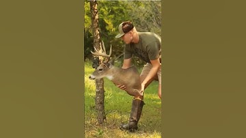 Pranking my dad! #feathersandfins #deerhunting #prank #viralvideo #hunterclips