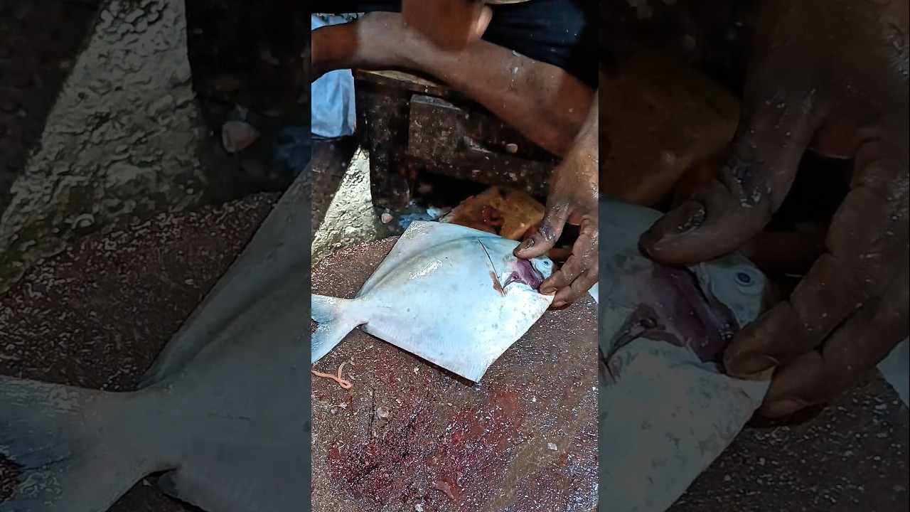 Big Pomfret Fish Chopping 