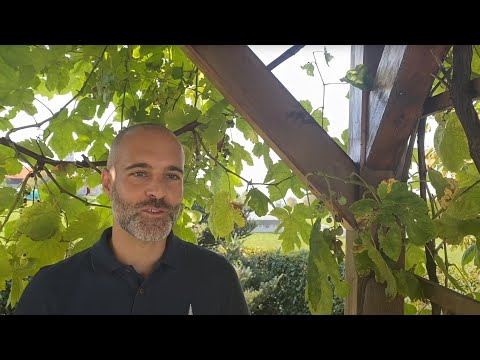 Lauréat «Prix SEP» 2020 - Jérôme Beaud