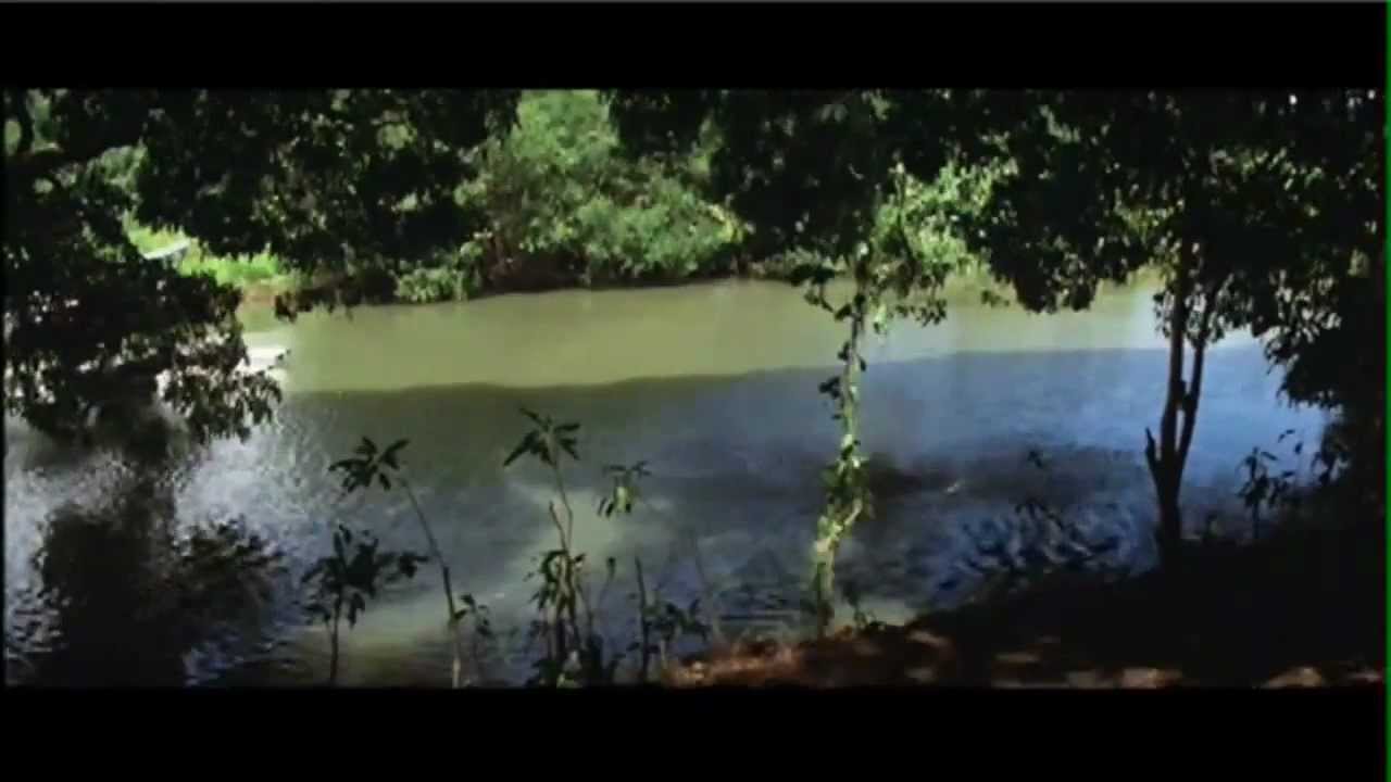 Indiana Jones Rip Rope Indiana Jones Rope Swing in Kauai Hawaii - YouTube