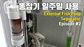 외부 똥집기 일주일 사용기-External Fish Poop Separator Review #2
