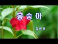 봉숭아 양현경