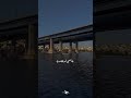 انت حبي الي بيناديني اشترك في القناة مع تفعيل جرس وحط لايك للفديو 