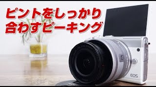 eos m 100 ピントをしっかり合わす　ピーキング機能