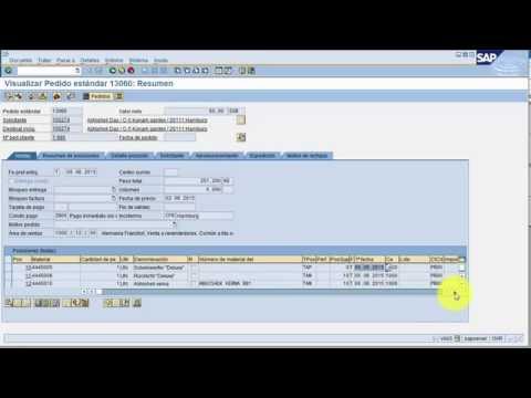 Curso Qué es SAP - Conceptos Generales - Lección 12 Datos Transaccionales - Demo
