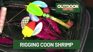 Outdoor Gps 38 Rigging Coon Shrimp For Springers With Ken Vilante