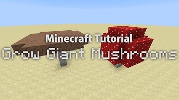 Minecraft Tutorial - Grow Giant Mushrooms Without Mycelium