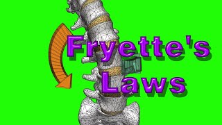 脊柱：フライエットの法則、その他の動き／Fryette's laws & Other move