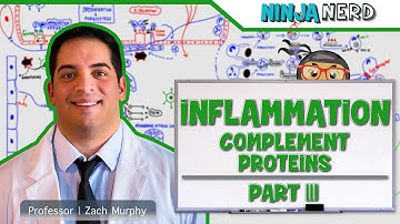 Immunology | Inflammation: Complement Proteins: Part 3