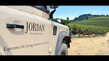 Stellenbosch Winelands Safari & Brandy Pairing