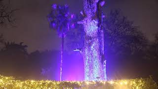 Jardín Botanico de Madrid en navidad &quot;Naturaleza Encendida&quot;