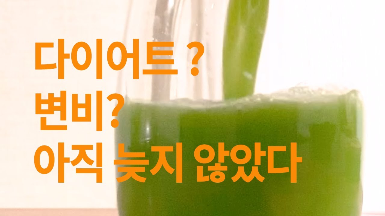 하루 한 잔씩 마시는 쥬스로 다이어트와 장건강 튼튼 프로젝트 Detox healthy Juice - 쥬스남편 ...