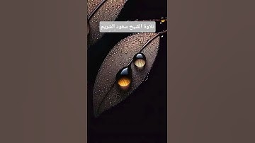 تلاوة من سورة المنافقون للشيخ سعود الشريم #المصحف #اكسبلور #quran  #سعود_الشريم #المسجد_الحرام