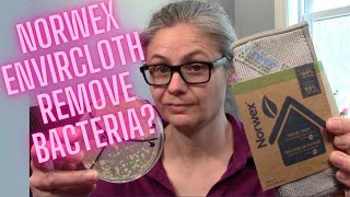 Can you Remove Bacteria by Using Only Water??  I Tested the Norwex Envirocloth with Petri Dishes!