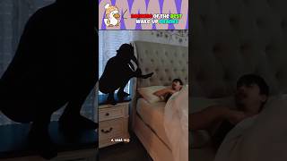 Ranking Of The Best Wake Up Pranks