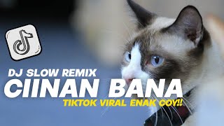 Download lagu DJ CIINAN BANA VIRAL TIKTOK TERBARU!! Rosid Deminor Remix